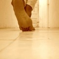 camino-pies1