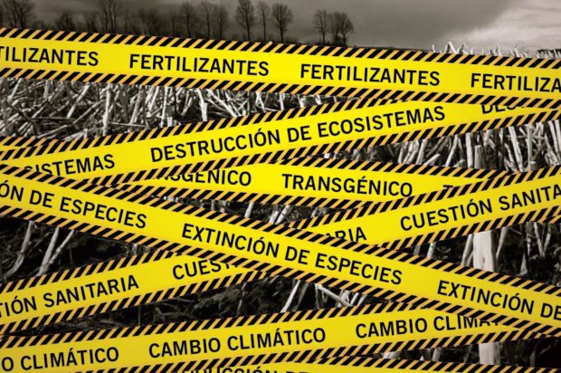 Agua y fuego sobre los campos argentinos. El modelo transgénico nuevamente en cuestión